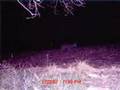 Unexplainable images captured by outdoor expert.