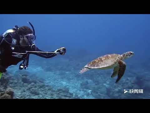 http://youtu.be/NSQopBrmqlA