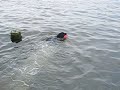 Moose Water Fetch Moose Water Fetch