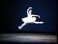 part iii of katherine healy at the age of sixteen in the ballet etudes with patrick dupond and kevin pugh.
