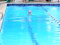 Abby's Breaststroke Abby's Breaststroke