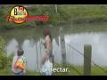 Ver Video
