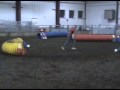 Lance's 1st NADAC Trial!
