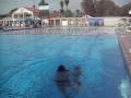 videos de At the Pool Vol. 2