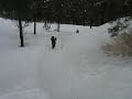 Tanner sleds