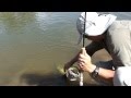 Ver Video
