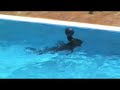 Rio Safari Park Elche