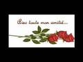 une fleure rien qu'une rose