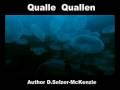 Qualle Quallen Fische Tiere Animals Natur SelMcKenzie Selzer-McKenzie