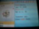 Three Shiny Smeargle