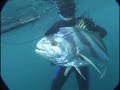 Pesca submarina en nicaragua