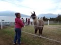 Esther-Puerto Varas Chile.mPG