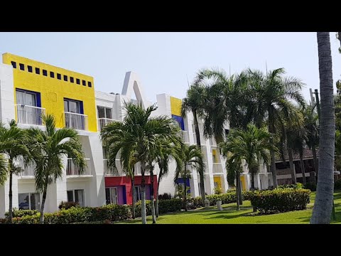 動画