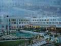 Conil