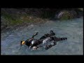 Halo Fun