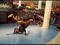 infinite crew (junel) vs b-boy fire of bacolod city