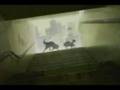 videos de We'll Be Here( When You're Gone)- Wolf's Rain