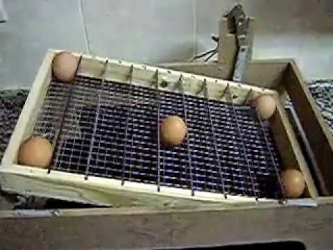 Homemade Automatic Egg Turner