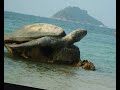 ko tao 

added: february 03, 2008 

ko tao (also often koh tao, thai: ????????, lit. 