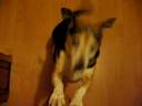bix in the closet