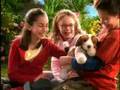 Comercial K-Chorritos Narices Frias