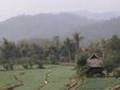 Farmland, North Thailand