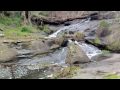 Hilda Falls part of the Allsop Creek system is just up the rail from Loch. This is the launching of the Revegitation Project a lot of organistions and people are involved. So enjoy the video and let me know if you like it.