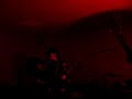 Stropharia - Wonderwall