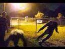Acorn Park Annihilation