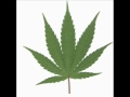 Talamasca – The THC Philosophy