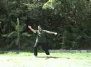 Free Lesson: 12. Carry Tiger to Mountain- Wu Tai Chi