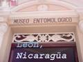 Museo Entomológico de León, Nicaragua manfut