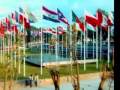 1968 Olympic Natatorium:  Women's Candids & Events