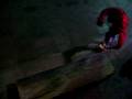 videos de pablo arbol en el puente