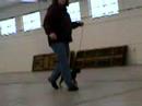 Pistol side gait