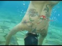 Rogelio Tattoo ok.mpg
