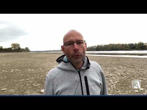 Niedrigwasser in Mainz - im Winterhafen liegt alles still