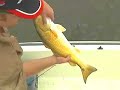Trout, Redfish and Flounder on Sabine Lake Trout, Redfish and Flounder on Sabine Lake