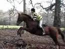 To my horsey!!