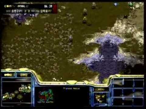 Bisu[Shield] v Stork - MSL Final Jul ...