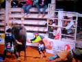 ádriano nicacio vs timbalada.cia:R.L