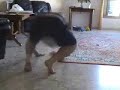 Gilgul Gilgul