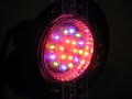 Multicolor 18-LED Light Bulb from DealExtreme