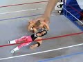 wwf bret hart vs shawn michaels