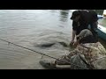 euro-som.de Team Ловля сома. Поймал.отпусти! Catfishing. catch and release