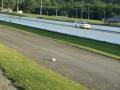 videos de Phil's 240 vs. a Fox Body Mustang at Maple Grove Raceway.