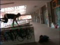 PaRkOuR sPiNaCeTo