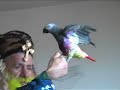 "I am an artist because I design smiles on the faces of other human beings." - http://www.youtube.com/watch?v=NTPj-wFtYcI