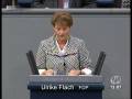 videos de Ulrike Flach zur Allgemeinen Finanzdebatte Bundeshaushalt 2009, 25.11.2008