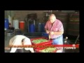 "VINOS TORRES" - ASI SE HACE NUESTRO VINO TACNEÑO [HQ]